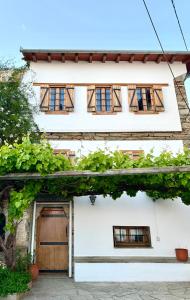 Vines & Views