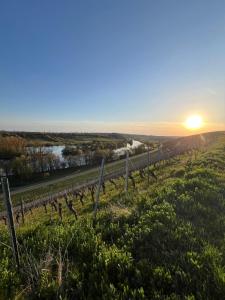VOLKACH 1 Zimmer 2 Personen