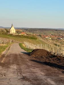 VOLKACH 1 Zimmer 2 Personen