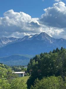 Penthaus am Südhang