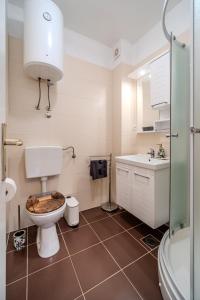 Apartman Elephant