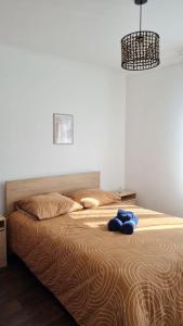 Appartements Charmant logement entre la gare et le centre-ville : photos des chambres