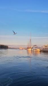 Appartements Charmant logement entre la gare et le centre-ville : photos des chambres