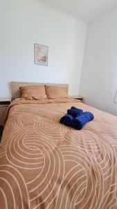 Appartements Charmant logement entre la gare et le centre-ville : photos des chambres