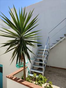 Casa con terrazza img39