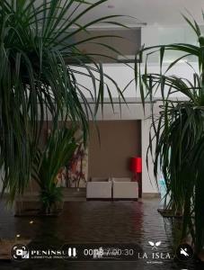 Disfruta a lo grande en la Isla Residences Acapulco