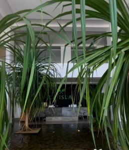 Disfruta a lo grande en la Isla Residences Acapulco