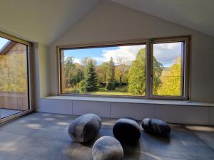 Appartements Appartement design dans un ecrin vegetal : photos des chambres