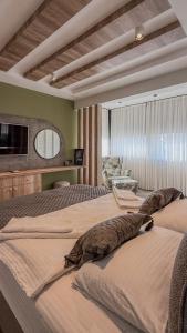 Leos Apartments Apart3