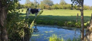 Maisons de vacances Charmante maison de campagne, avec jardin, vue riviere, 15 min Cabourg : photos des chambres