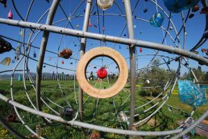 Agriturismo Podere il Leccio