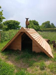 B&B / Chambres d'hotes Au Dolmen de Kerhus 