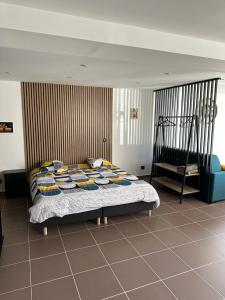 Appartements Loft de la louve : photos des chambres
