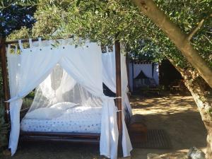 Villas couples AMOUREUX gde propriete 4000M2 avec 2 maisons independantes grande piscine privee clim : photos des chambres