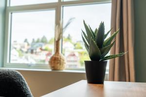 Arken hotell Kopervik