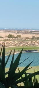 Murcia Bella - Hacienda Riquelme - Adriatico