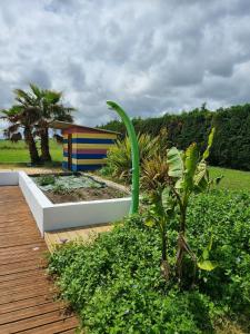 Villas Villa paisible avec piscine proche Toulouse : photos des chambres