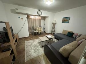 Podgorica city center apartment