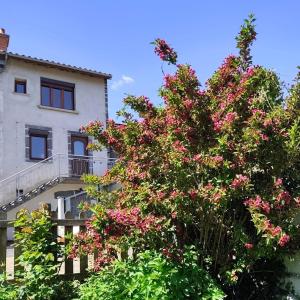 Maisons de vacances La Meziou du Bois Joli : photos des chambres