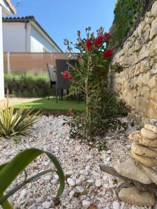 Villas Villa 45 : photos des chambres