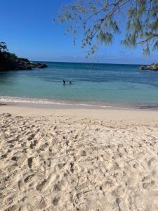 Chrisanns beach resorts