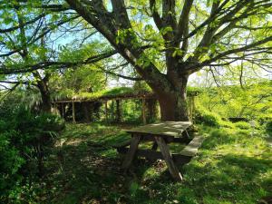 Maisons d'hotes Cap sur l-Amerique latine : Lit Simple dans Dortoir de 4 Lits