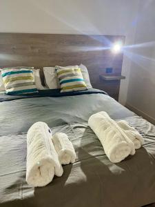 Alto Palermo Tessa 4