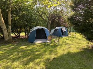 Pop-Up camping close to festival - Ganzendrieshoeve