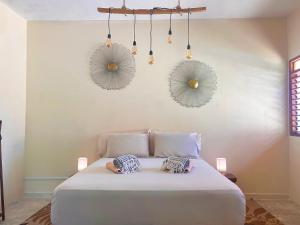 Shamalay - Nomad Experience