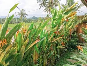 Nyoman Sandat House 1