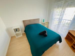 Appartements A l-oree de Valence -L-orchidee- Ile parc Girodet : photos des chambres