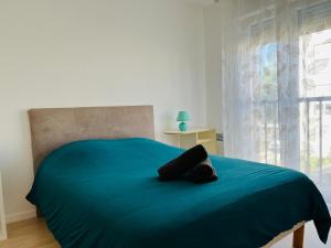 Appartements A l-oree de Valence -L-orchidee- Ile parc Girodet : photos des chambres