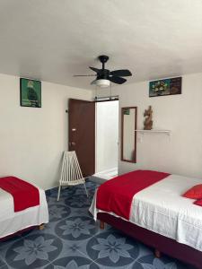 Amplio departamento en el centro de Cancún, 2 Camas, hasta 3 personas, cocina, comedor