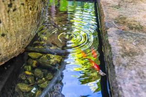 Belle Escapes Pura Shanti