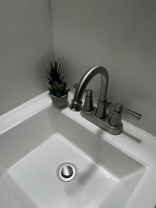 Lovely Cozy 1BR Apt NW DC