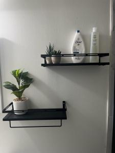 Lovely Cozy 1BR Apt NW DC