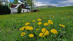 Kněžice 25, chalupa v Krkonoších