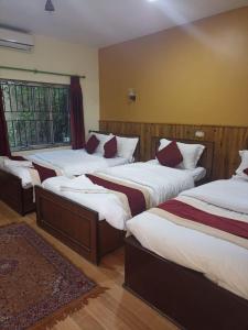 Chitwan Safari Resort