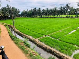 Bird Nest Yala Safari Guest House