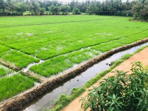 Bird Nest Yala Safari Guest House