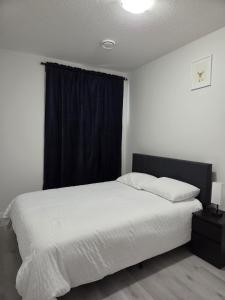 Elegant & Cozy 2 Bdrm Basement suite near WEM
