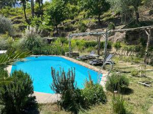 B&B / Chambres d'hotes Love Room Villa Charlene : photos des chambres
