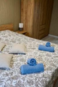 PILS IELAS apartamenti