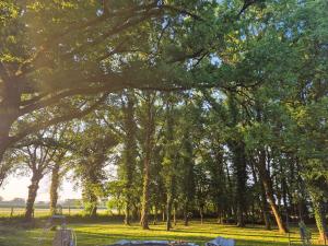 Campings Chez Vallye : photos des chambres