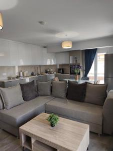 David Luxury Experience Γ3