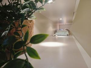 Appartement avec beaucoup de cachet central et calme