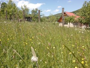 Kuća za odmor Dangubica