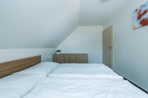 Horský Apartmán Říčky