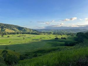Jabiru Lodge Daintree
