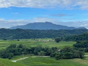 Jabiru Lodge Daintree